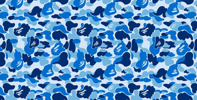 BAPE CAMO